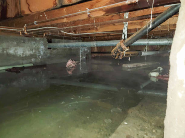Trusted Seaside Heights, NJ Water damage restoration Experts