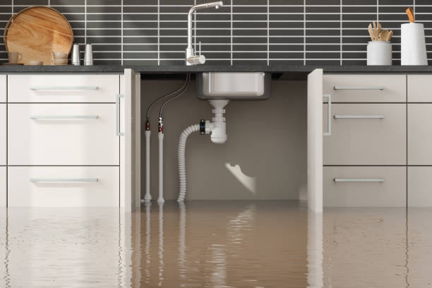 Best Flood damage cleanup  in Seaside Heights, NJ
