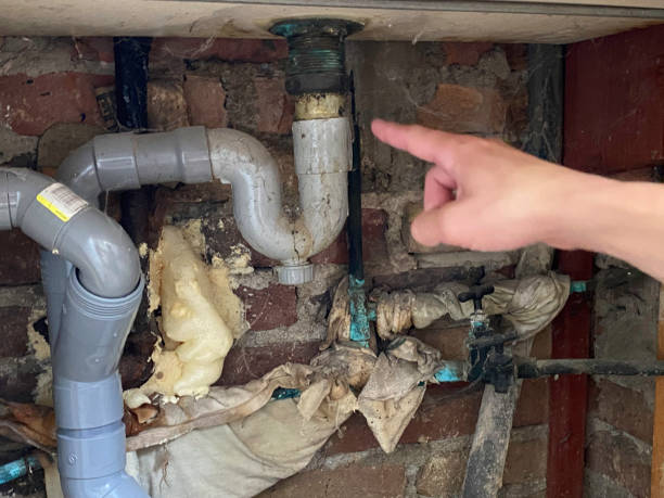 Best Water damage cleanup near me  in Seaside Heights, NJ